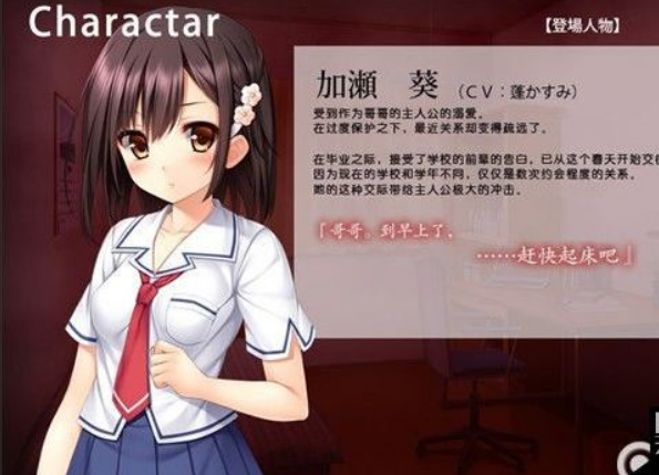 HAG妹妹寝取身心都是哥哥的所有物各种社保玩法 KRKR