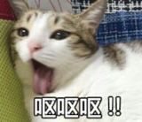 文章丢了两次，该死的物理黑客和勒索黑客，gtmd