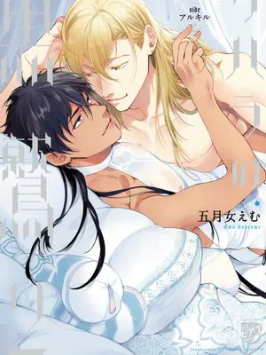 サハラの黒鷲丨撒哈拉的黑鹫