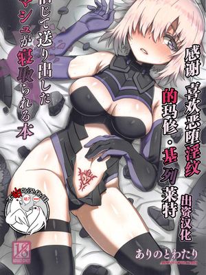 (C95) 信じて送り出したマシュが寝取られる本 (Fate/Grand Order) [中国翻訳]|信任送出的马修被NTR的本子