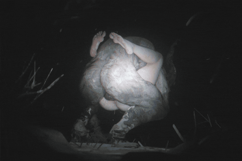 [ZMSFM] 12月作品 银貂野外雪地被恶魔强暴