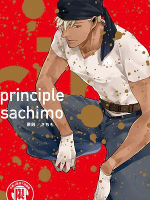 principle 原则|principle 原则