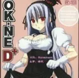 [るしえ堂 (jema)] OK-NE D+ (東方Project) [靴下汉化组]