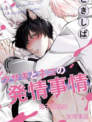 兔子和猫的发情事宜