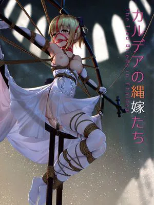 (C95) カルデアの縄嫁たち (Fate/Grand Order)