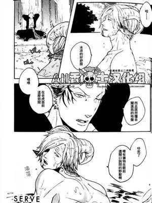 SERVE UNDER VIGOR (One Piece)