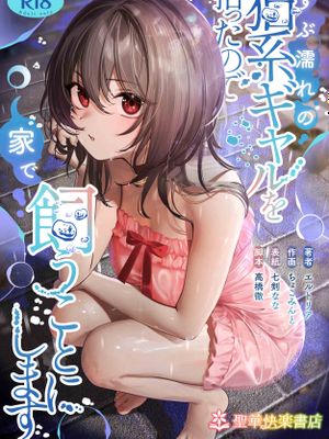 ずぶ濡れの猫系ギャルを拾ったので家で飼うことにします