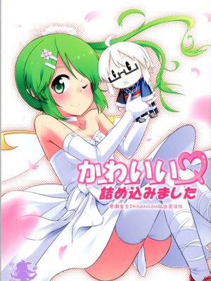 (C85)  かーわーいーいー詰め込みました (東方Project) [中国翻訳]|(C85) 好可爱啊 我塞进来了 (东方Project)