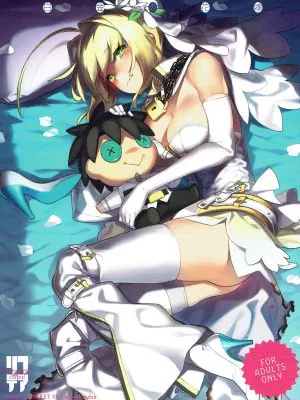 (C93) PLATINUM BRIDE 白金の花嫁 (Fate Grand Order)