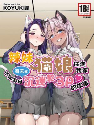ギャル猫娘がうちに住み着いてなぜか毎日3P三昧になってしまう話