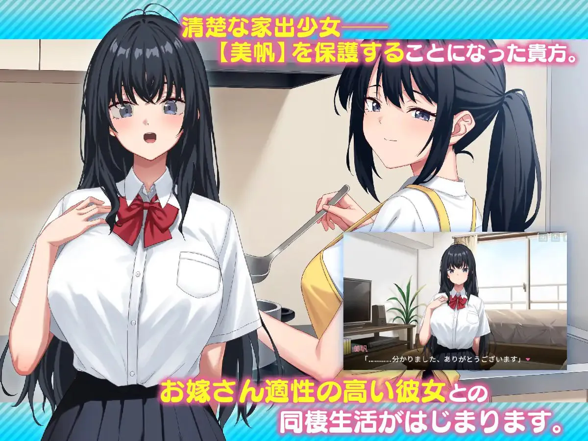 [SLG汉化PC]捡到了离家出走的女孩 家出娘、拾いました。v1.05    [FM/BD 3G]