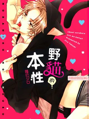 野猫的本性