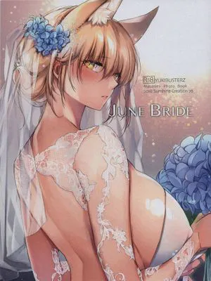 (C94) JUNE BRIDE マタニティフォトブック