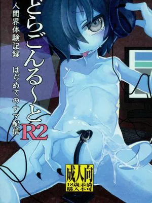 どらごんるーとR2
