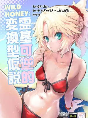 WILD HONEY:霊基可逆的変換型仮説 (Fate/Grand Order)