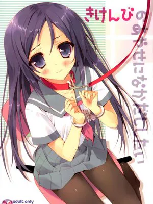 (C84)きけんびのあやせになかだししたい (俺の妹がこんなに可愛いわけがない)