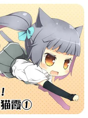 什喵！是猫猫霞