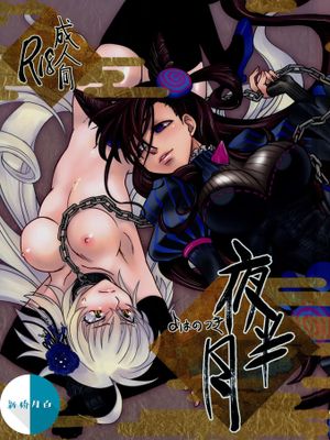 (C96)  夜半の月 (Fate/Grand Order) [中国翻訳]
