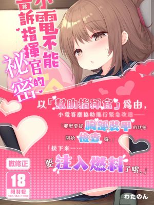 電ちゃんの司令官には言えないヒミツ♡