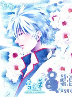 [土银]雪の華(銀魂)