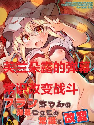 フランちゃんの弾幕ごっこの常識を改変してみた