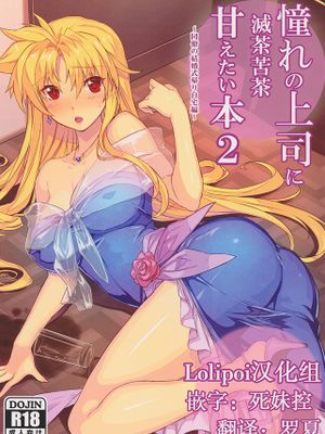 憧れの上司に滅茶苦茶甘えたい本2~同僚の結婚式帰り自宅編~ (魔法少女リリカルなのは)|想狠狠地依赖我仰慕的上司2～同事婚礼回家的那一刻～ (魔法少女莉莉卡·娜娜)