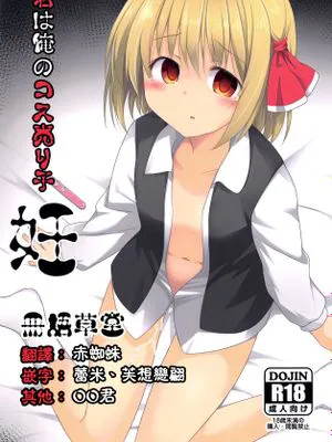 君は俺のコス売り子・妊 (東方Project) [中国翻訳]