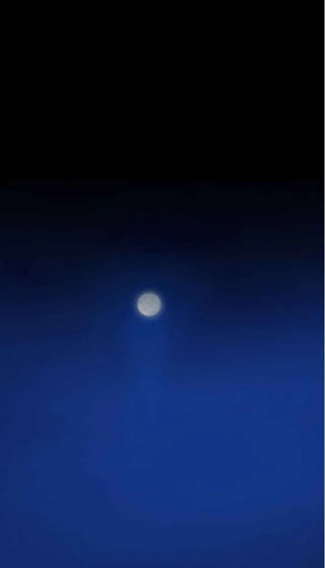 失蹤（填坑）【完结】