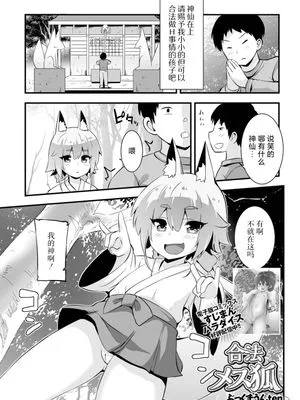 合法メス狐