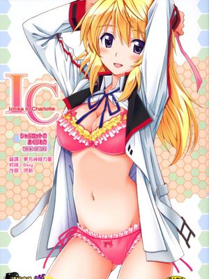 シャルロットのおくりもの (Infinite Stratos)