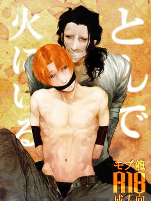 [Fate/zero]とんで火にいる/自焚