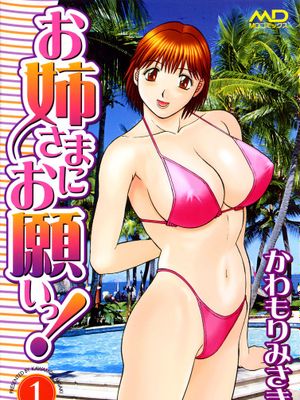 お姉さまにお願いっ!1-6卷 汉化至1卷