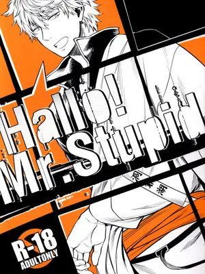Hallo! Mr.Stupid (銀魂)