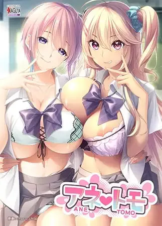 [ADV汉化PC全CG存档]アネトモ 辣妹姐姐 姐姐的朋友  [FM/BD 3G]