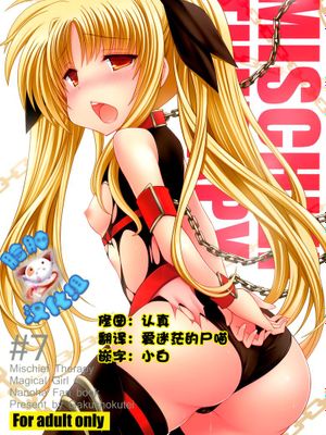 [脸肿汉化组] (C81) [学食亭 (わたのはら)] Mischief Therapy (魔法少女リリカルなのは)